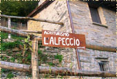 L'insegna